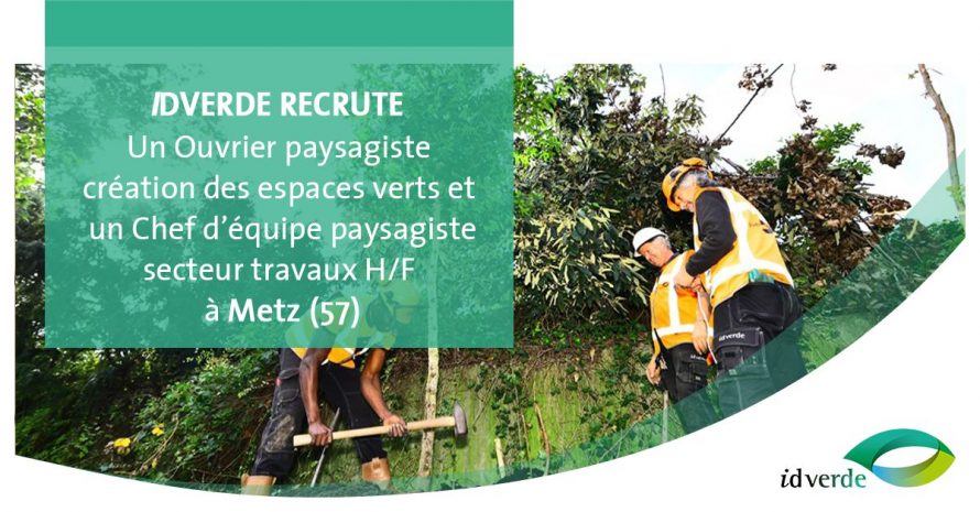 4. Recherche d'emploi Metz