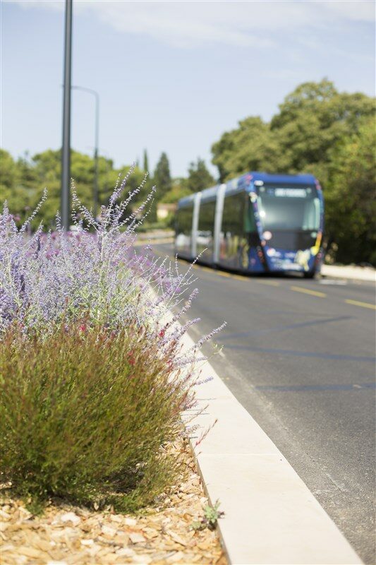 économie verte - trambus hybride