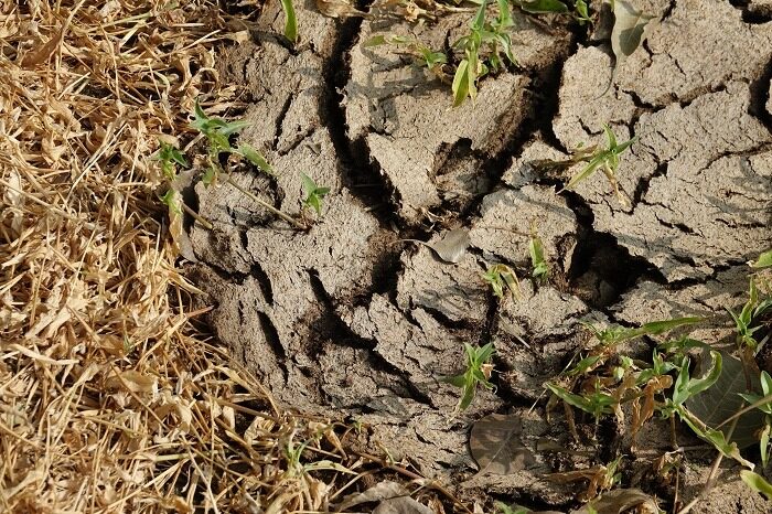dry-cracked-soil