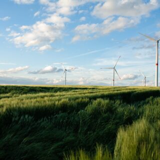 Beautiful grassy field with windmills in the distance under a blue sky