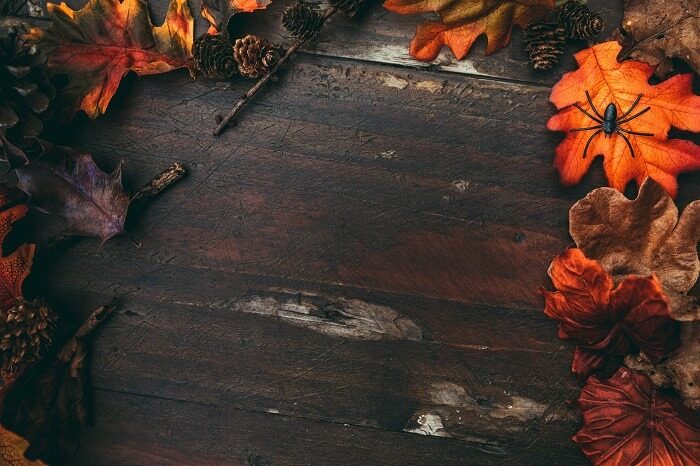 Halloween wooden table with colorful leaves