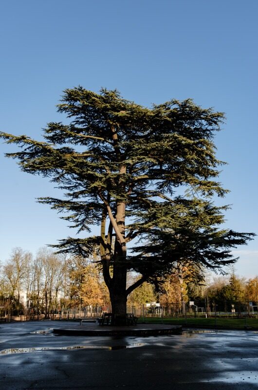 IDV22-REPORTAGE CLÔTURES (23.11-4.11)