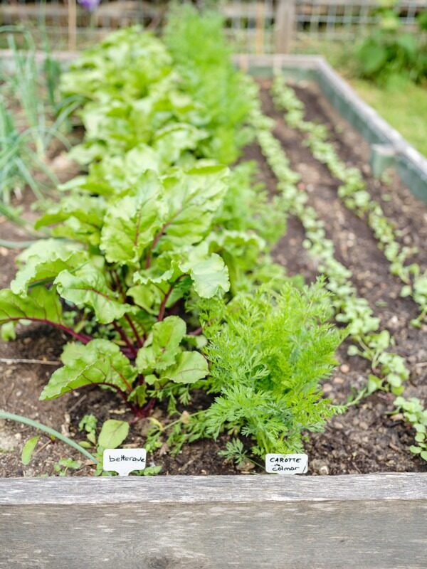 IDV22_PH20220602-JLD (WK Films)