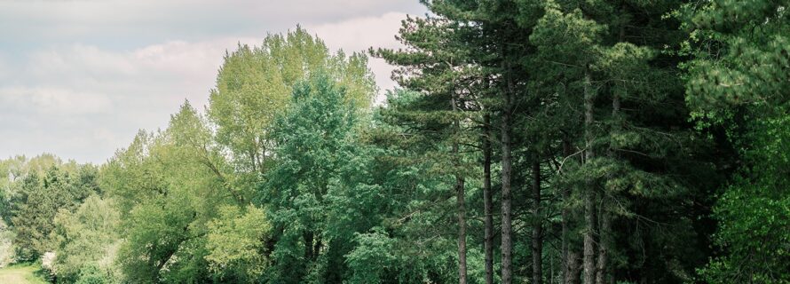 IDV23-GOLF-DE-BELLE-DUNE_25.05