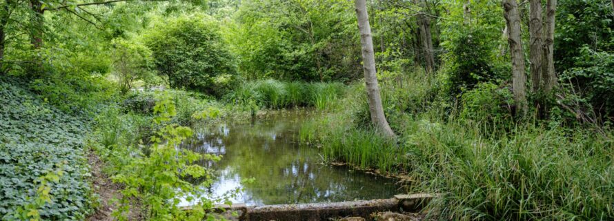 IDV24-PH20240422-AGENCE CHAMPLAN