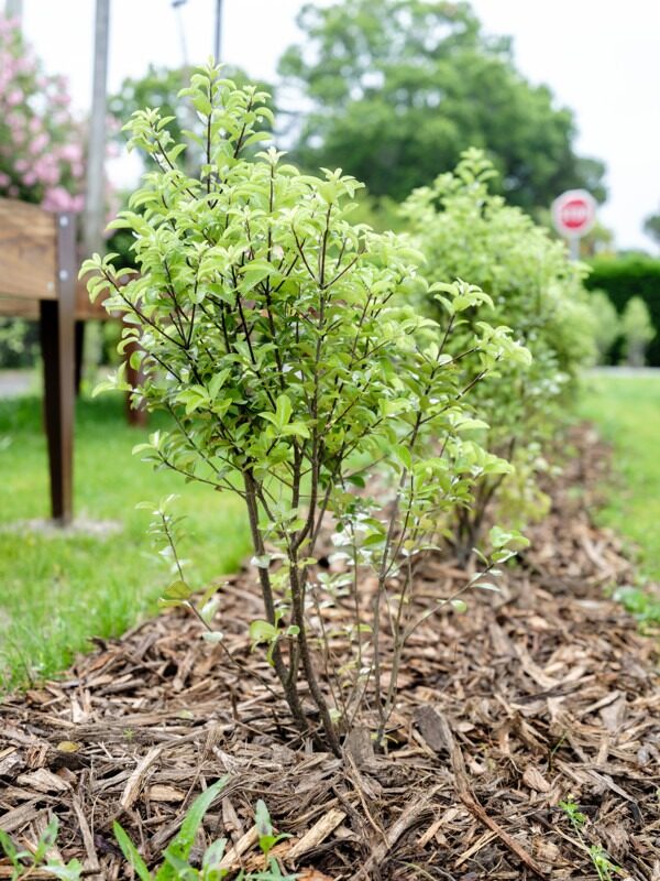 IDV24-PH20240620-AGENCE LANDES ADOUR