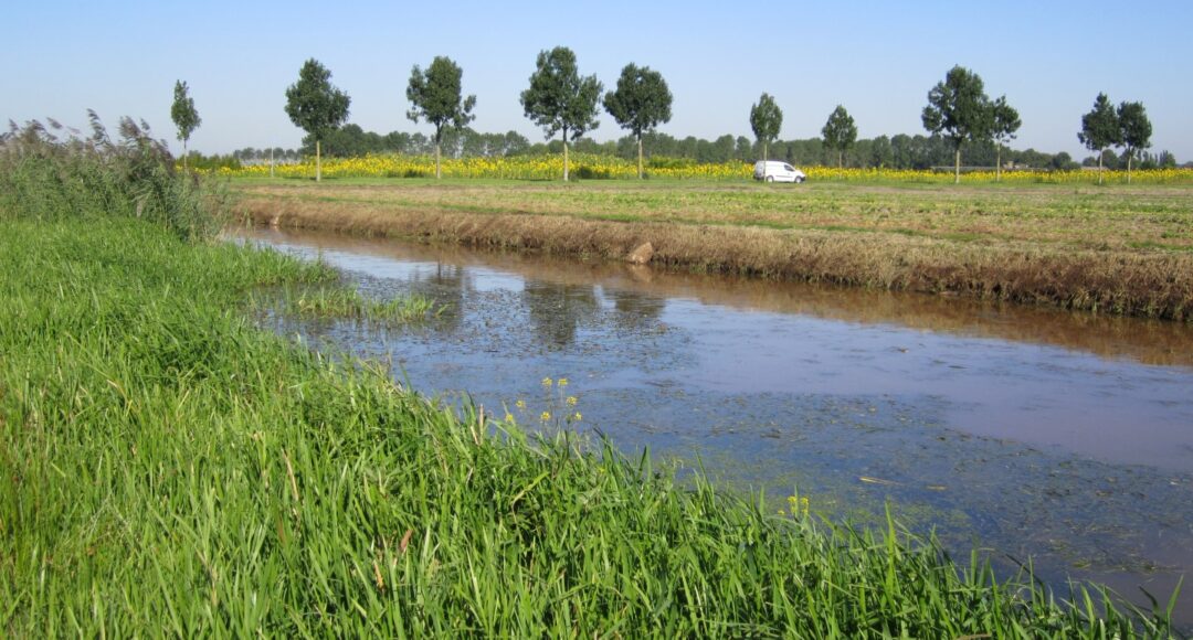 Ecologische verbindingszones Noord-Brabant