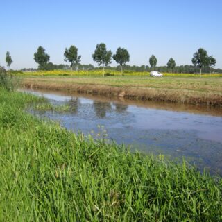 Ecologische verbindingszones Noord-Brabant