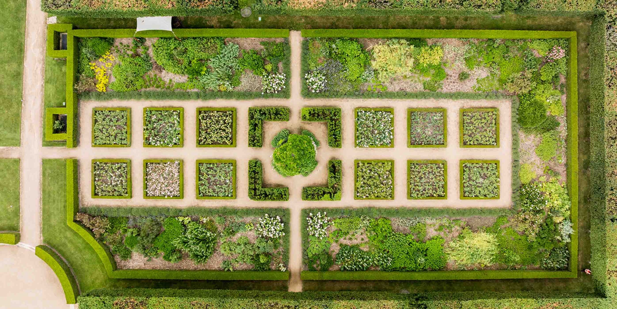 Vue aérienne d'un jardin à la française structuré en carrés de massifs bordés de buis, organisés autour d'un arbre taillé en boule central.