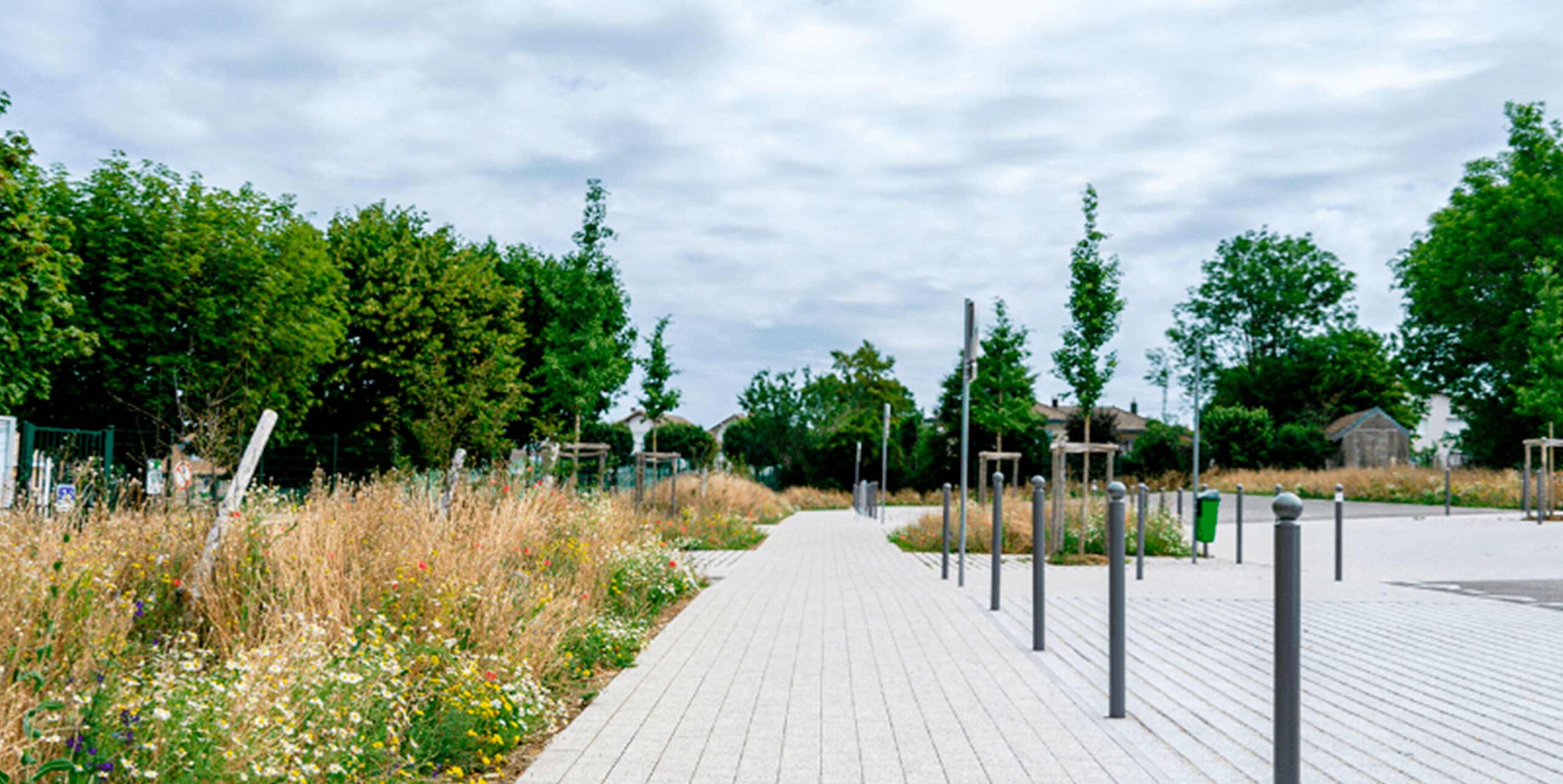 Allée piétonne bordée d'une prairie fleurie et de jeunes arbres dans un aménagement paysager urbain.