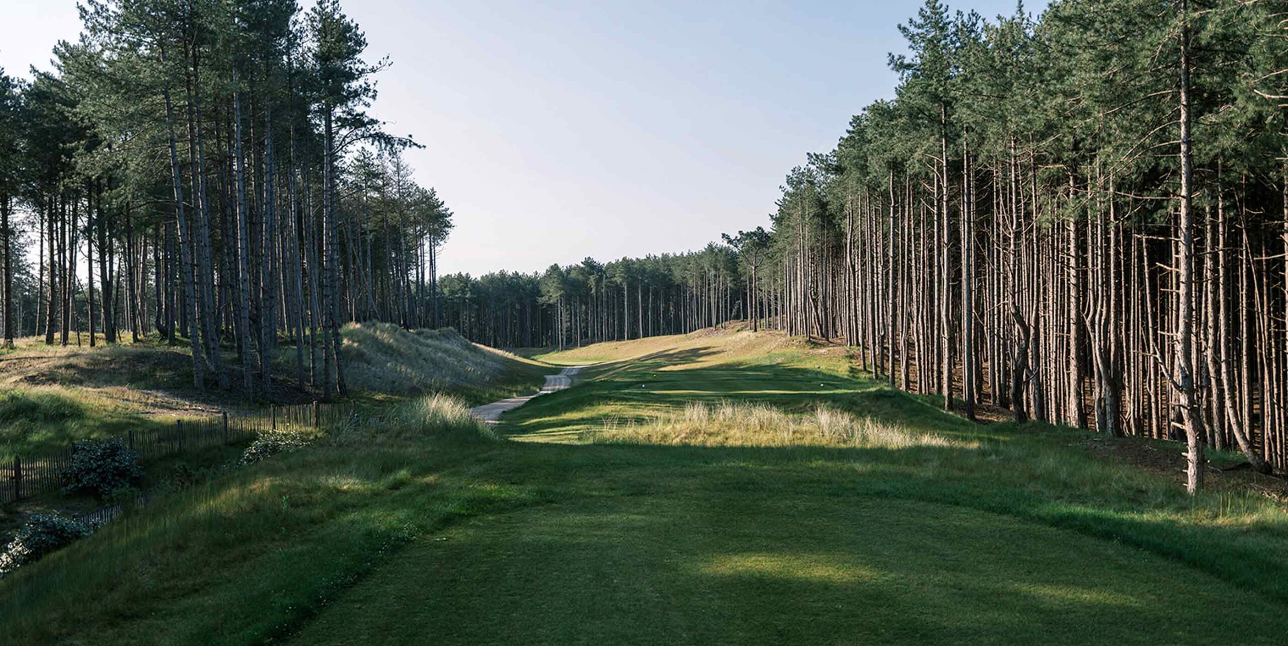Parcours de golf entretenu bordé de pins, avec fairway tondu et zones de rough naturel.
