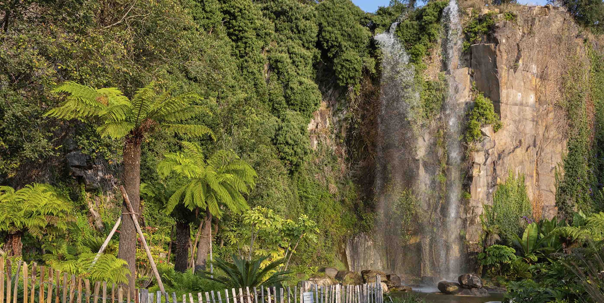 Cascade artificielle entourée de fougères arborescentes et de végétation luxuriante dans un jardin paysager.