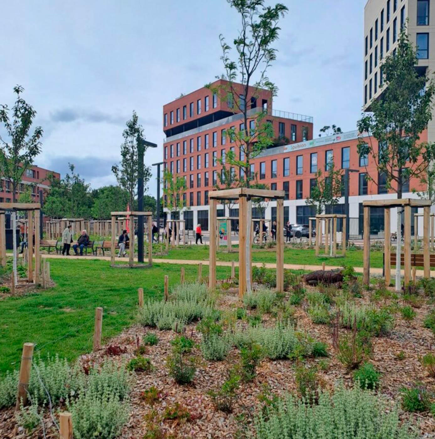 Parc urbain planté de jeunes arbres tuteurés et de massifs vivaces en pied d'immeubles résidentiels.