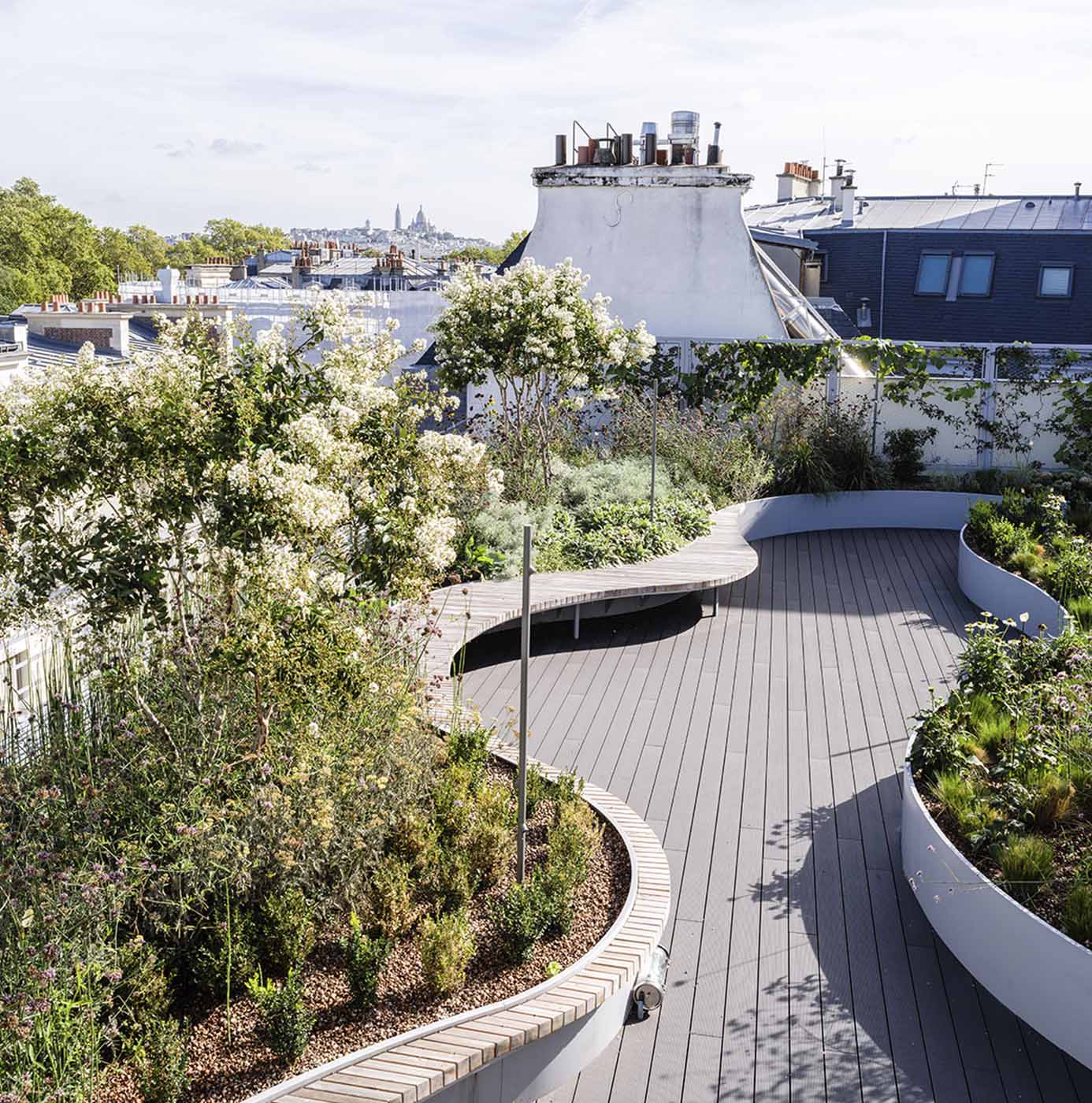 Toiture-terrasse végétalisée parisienne avec cheminement en bois sinueux entre massifs fleuris et vue sur les toits de Paris.