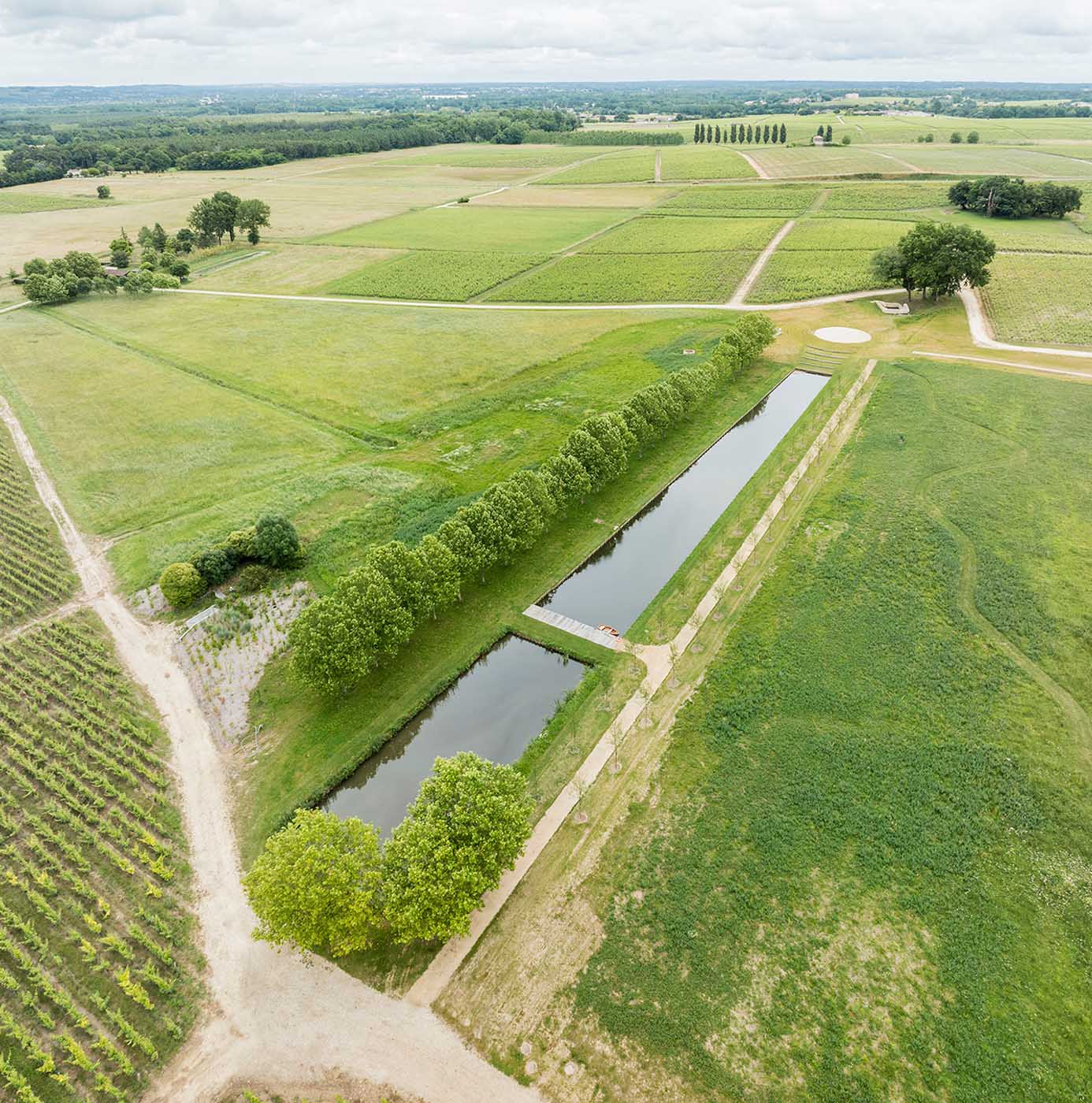 Vue aérienne d'un domaine viticole avec bassin d'eau bordé d'une allée d'arbres et parcelles de vignes.