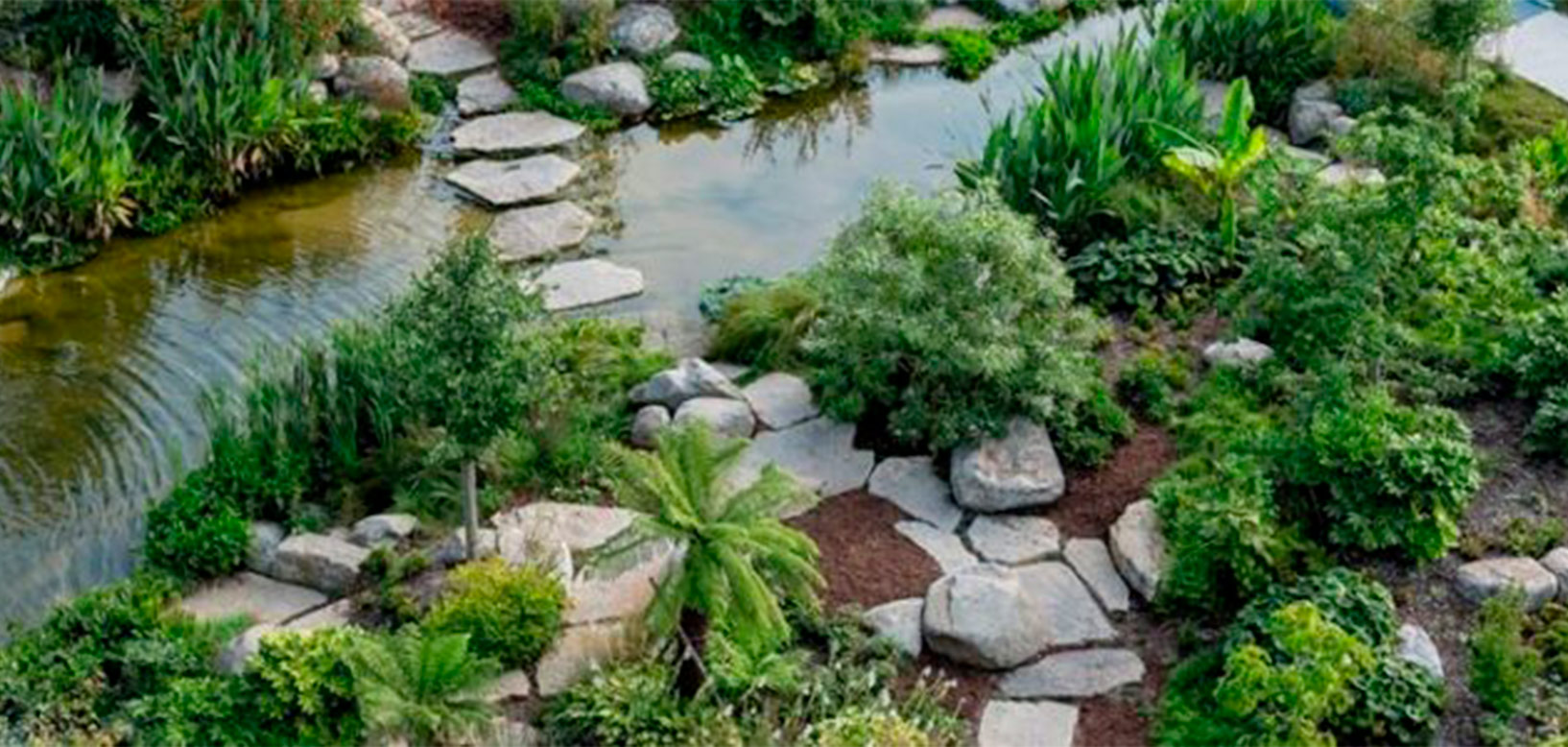 Vue aérienne d'un jardin paysager avec bassin, pas japonais en pierre et massifs de végétation variée.