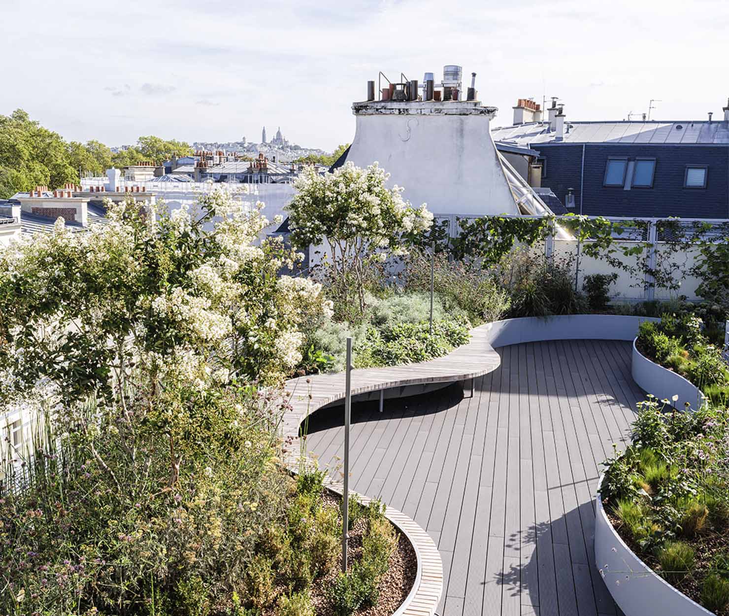Toiture-terrasse végétalisée parisienne avec cheminement en bois sinueux entre massifs fleuris et vue sur les toits de Paris.