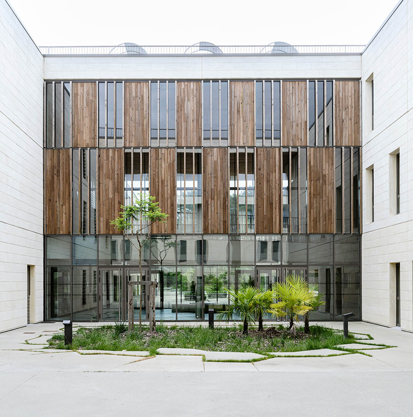 Patio végétalisé avec palmiers et graminées au pied d'un bâtiment à façade bois et pierre.