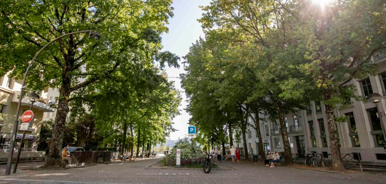 Alignement d'arbres bordant une place urbaine pavée entre des immeubles.