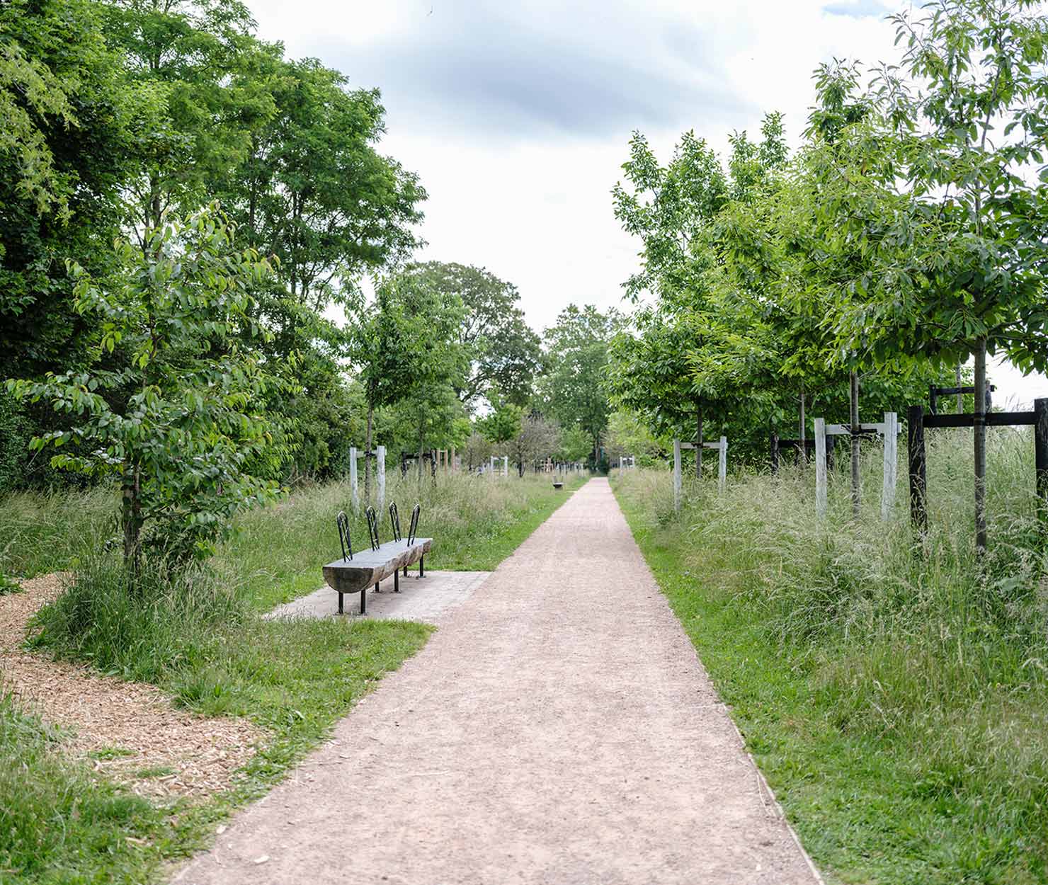 Allée stabilisée bordée d'arbres et de prairie fleurie avec un banc en bois dans un parc.