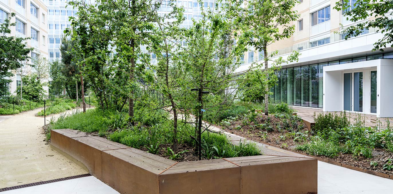 Jardin paysager avec massifs arborés bordés d'acier corten au pied d'un immeuble tertiaire.