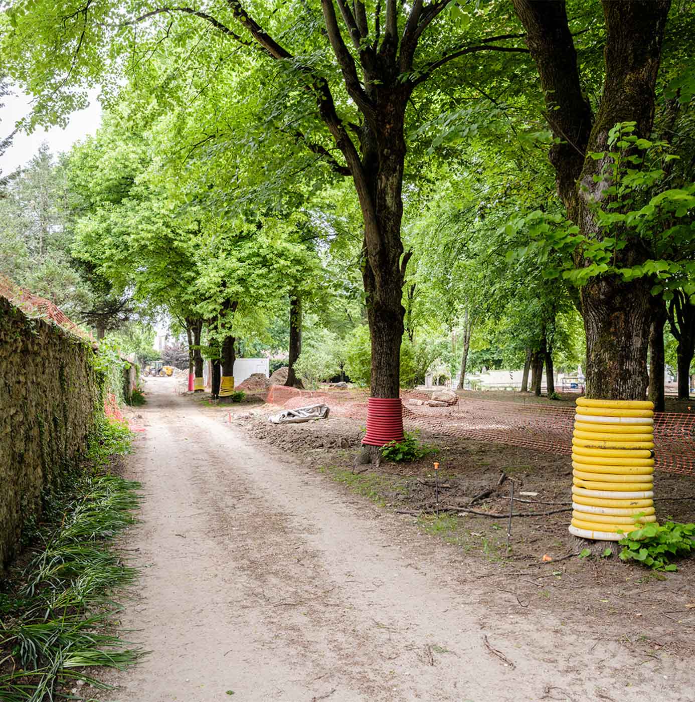 Allée arborée en travaux avec troncs protégés par des gaines de couleur et filets de chantier.