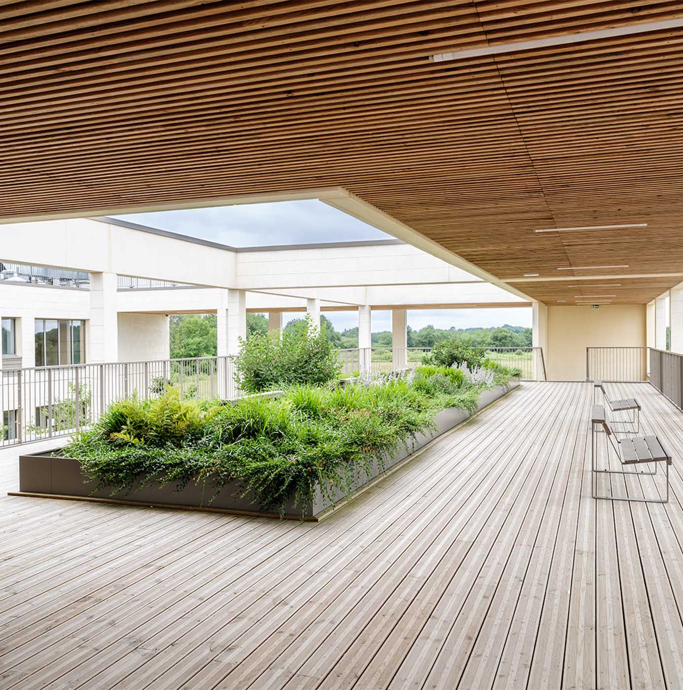 Terrasse en bois d'un bâtiment avec un massif végétalisé en bac intégré à l'architecture.