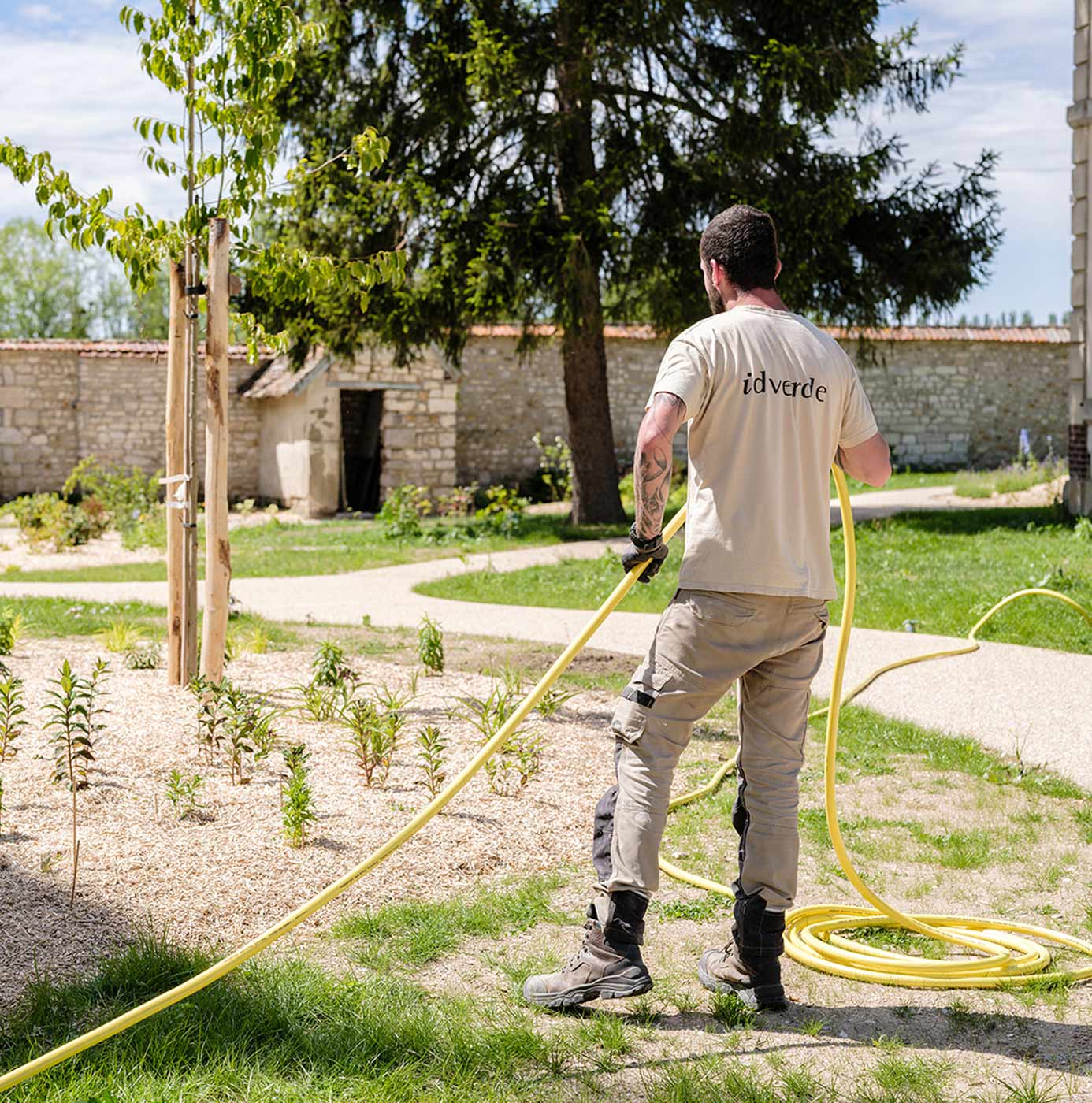 Un agent idverde déroule un tuyau d'arrosage jaune près d'un massif de jeunes plants paillés, dans un parc bordé de murs en pierre.
