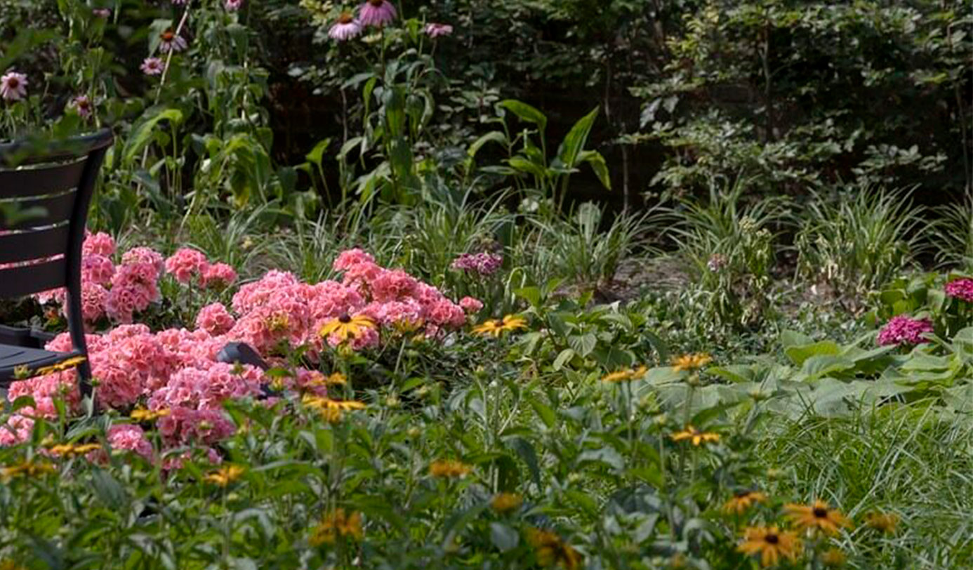 Massif fleuri mêlant phlox roses, rudbeckias jaunes et échinacées près d'un banc de jardin.