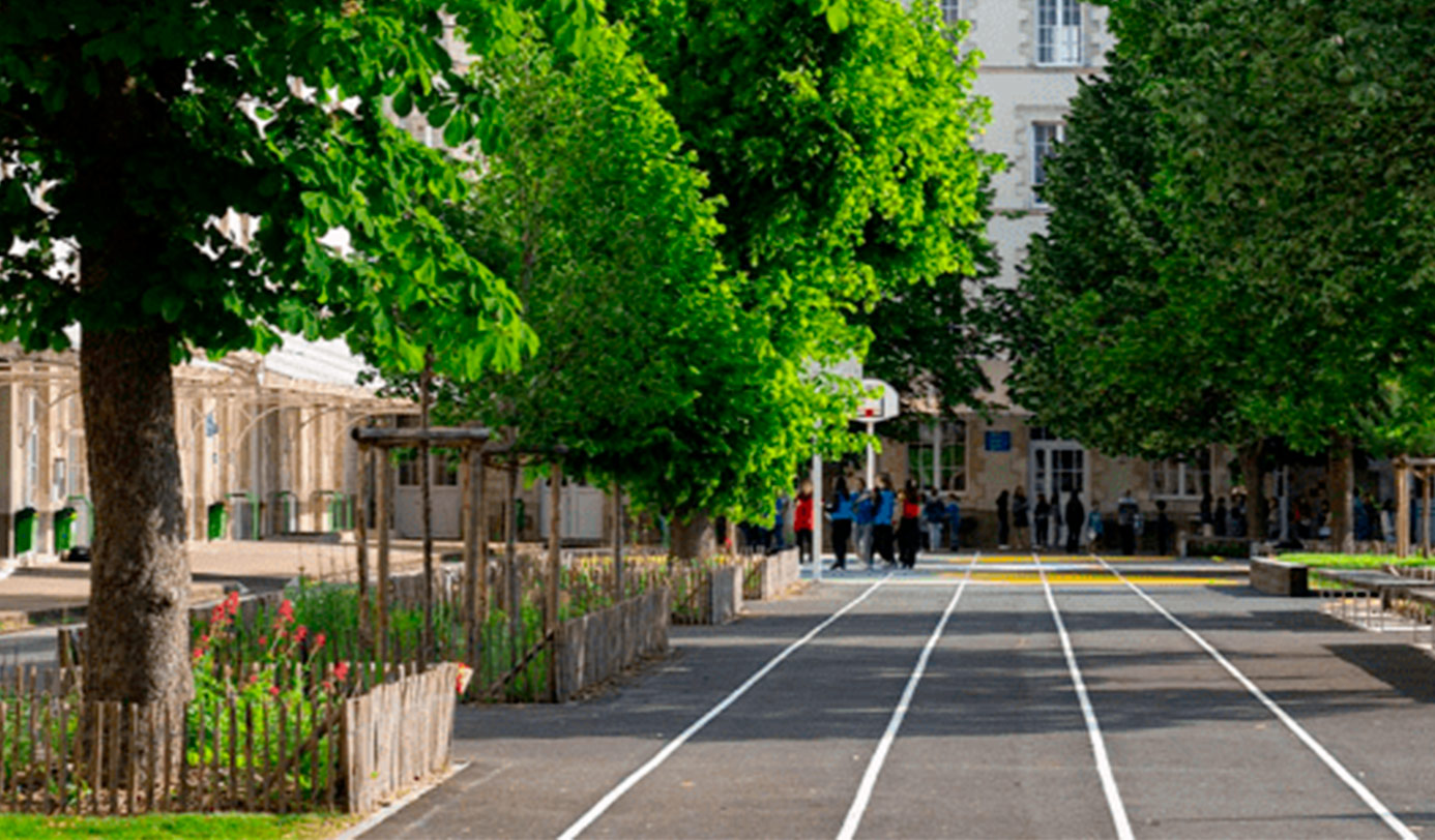 Cour d'école arborée avec allée d'arbres bordée de massifs fleuris clôturés en bois.
