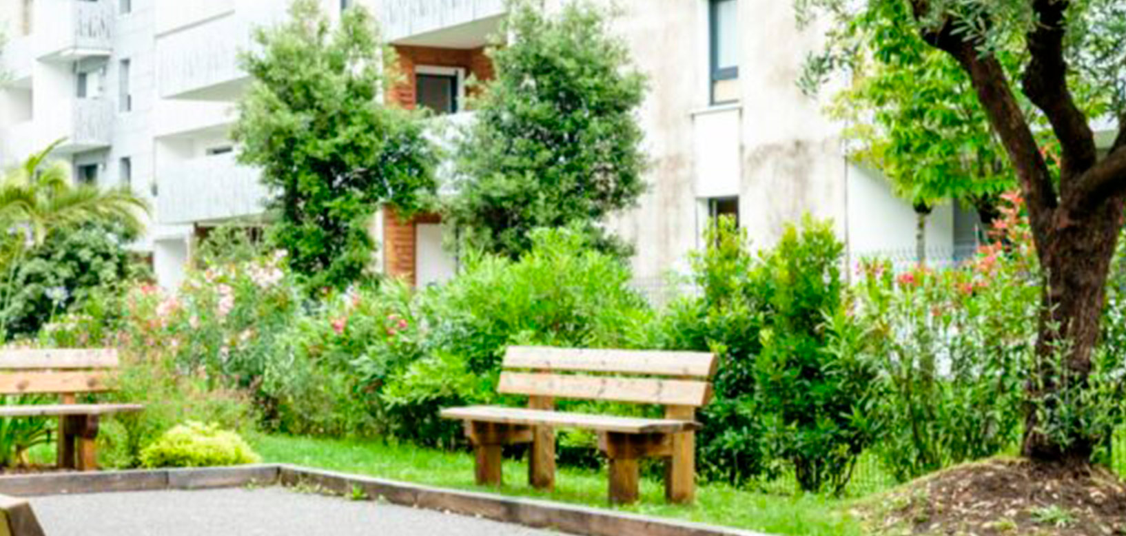 Bancs en bois installés dans un espace vert résidentiel bordé d'arbustes fleuris et d'arbres.