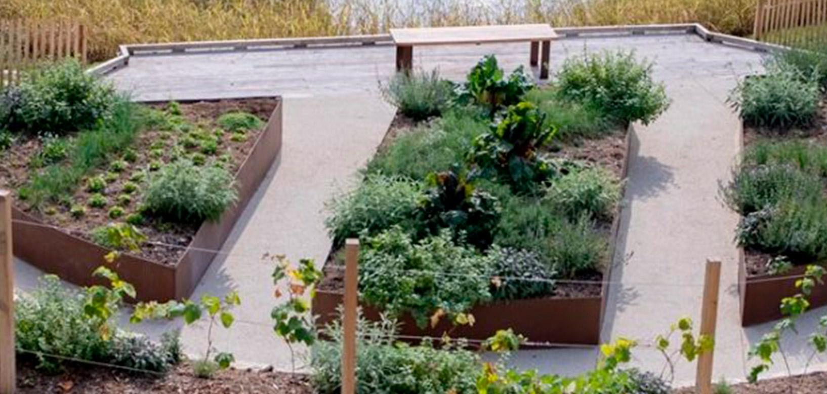 Jardin potager surélevé aménagé avec bacs en acier corten, allées minérales et bancs en bois.
