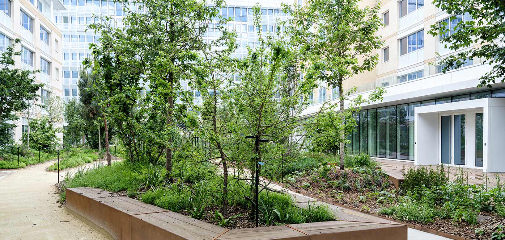 Cour intérieure végétalisée entre bâtiments avec massifs arborés et cheminements piétons.