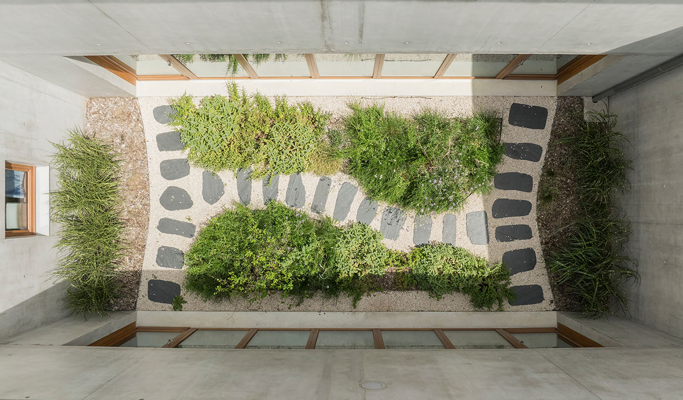 Vue en plongée d'un patio paysager intérieur avec massifs de plantes et cheminement en dalles de pierre.