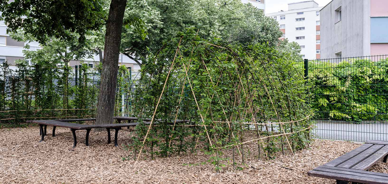 Tunnel végétal en osier tressé et paillage de bois dans un square urbain entouré d'immeubles.