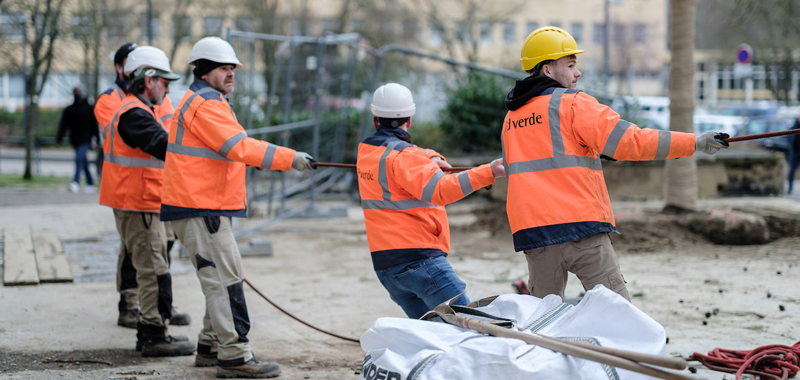 Des agents idverde tirent en équipe sur une corde pour redresser un arbre sur un chantier urbain.