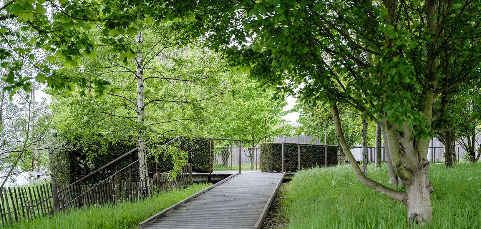 Passerelle en bois bordée de haies taillées traversant un espace vert planté d'arbres et de bouleaux.