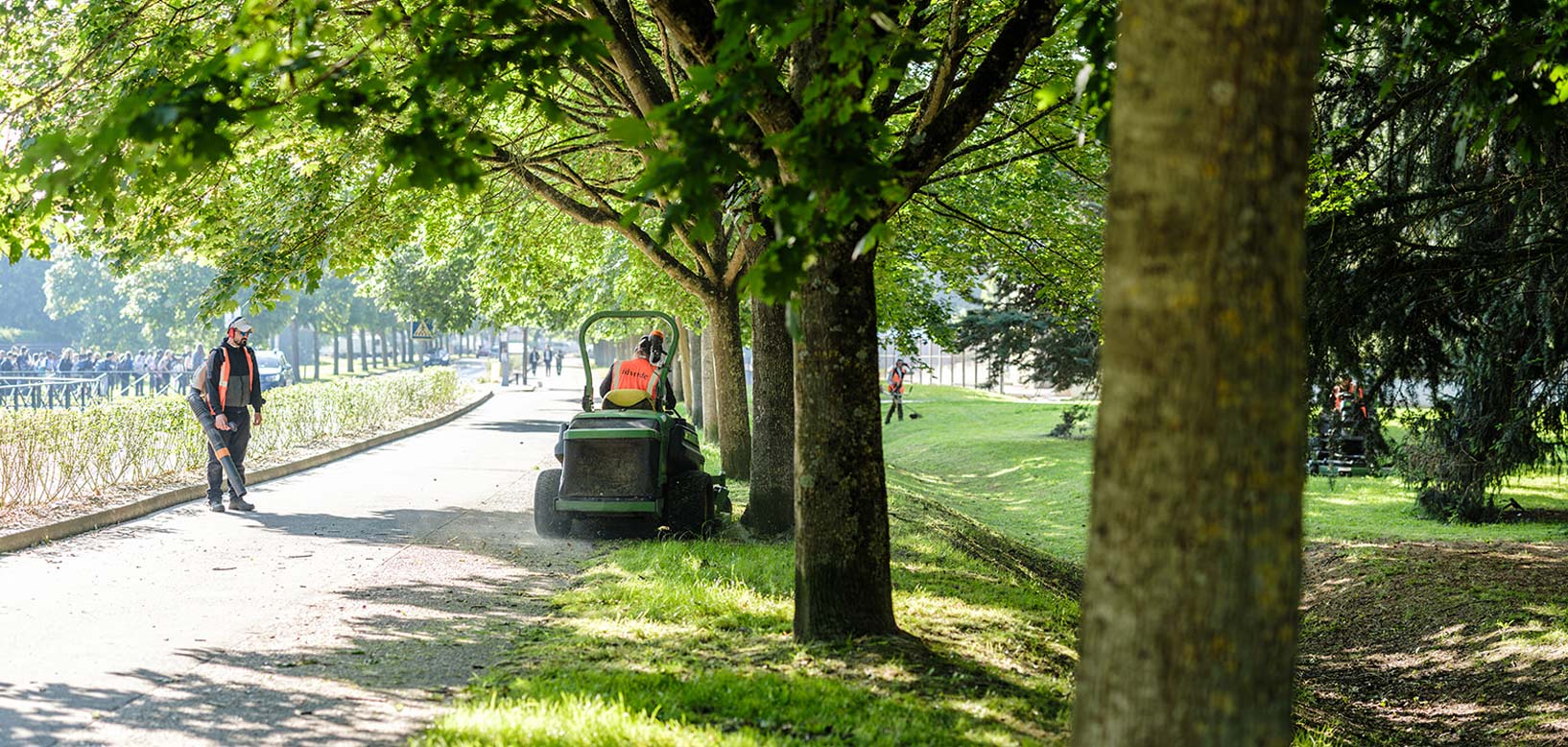 Des agents idverde tondent et entretiennent les pelouses le long d'une allée arborée dans un parc.