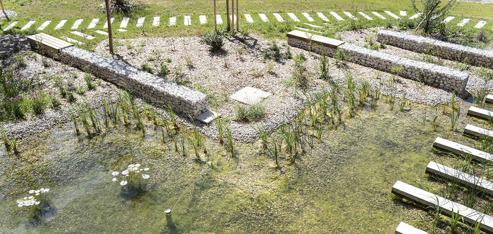 Vue aérienne d'un bassin paysager avec murets en gabions, plantations aquatiques et cheminement de dalles.