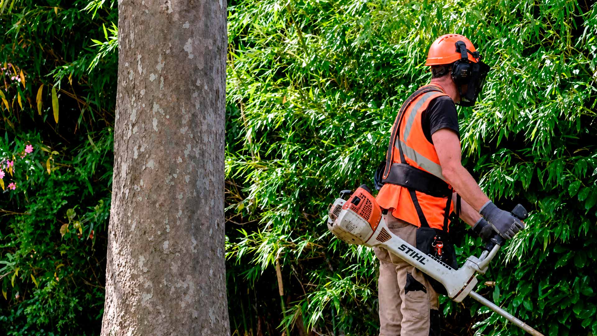 Agent d'entretien en équipement de sécurité orange utilisant un débroussailleur STIHL dans un espace vert