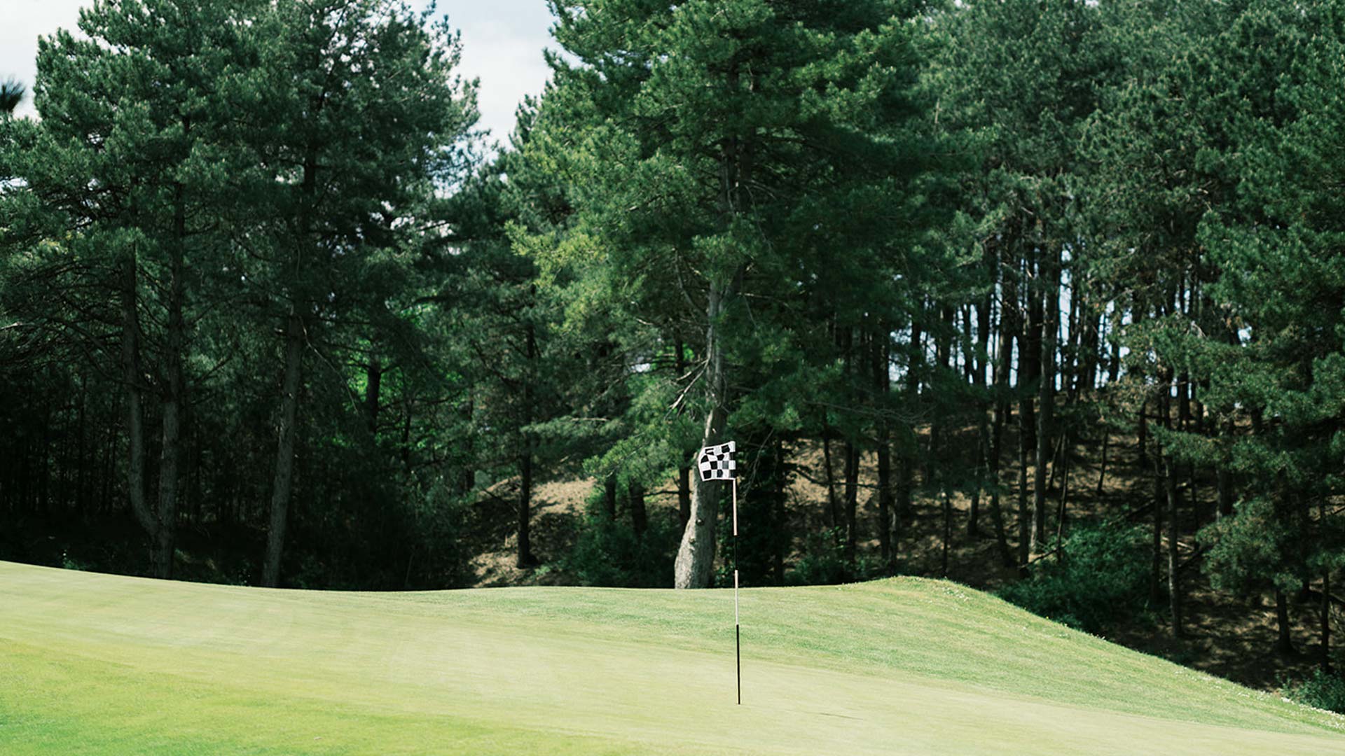 Green de golf entouré de grands pins avec drapeau à damier noir et blanc