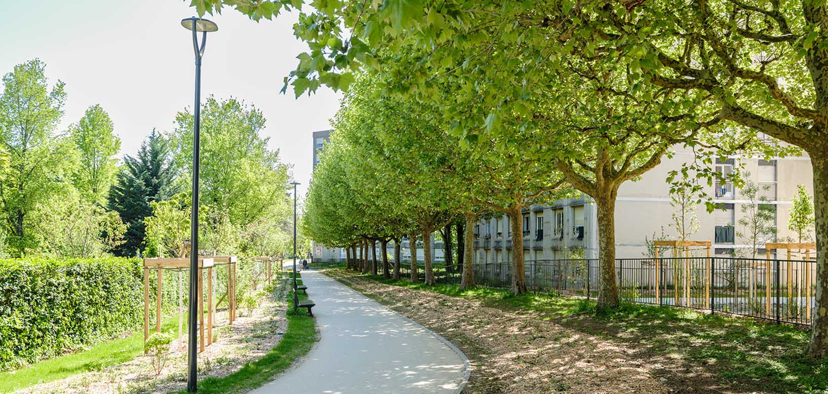 Allée piétonne bordée d'un alignement d'arbres en pied d'immeubles résidentiels.