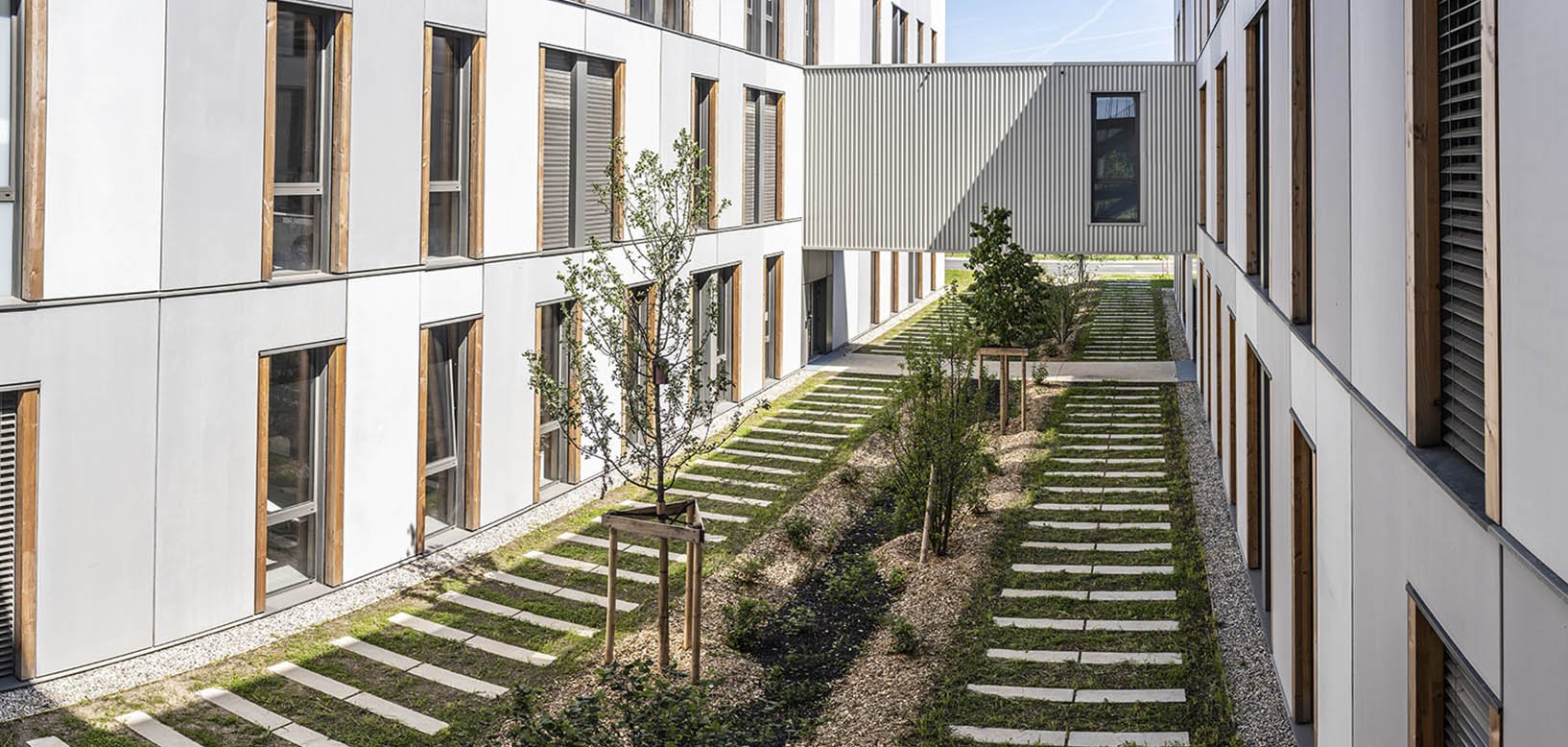 Cour intérieure d'un bâtiment résidentiel aménagée avec des cheminements en dalles et de jeunes arbres plantés récemment.