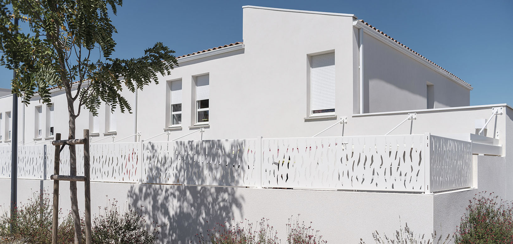 Résidence pavillonnaire avec arbre planté et haubané, muret et claustra ajouré en façade.