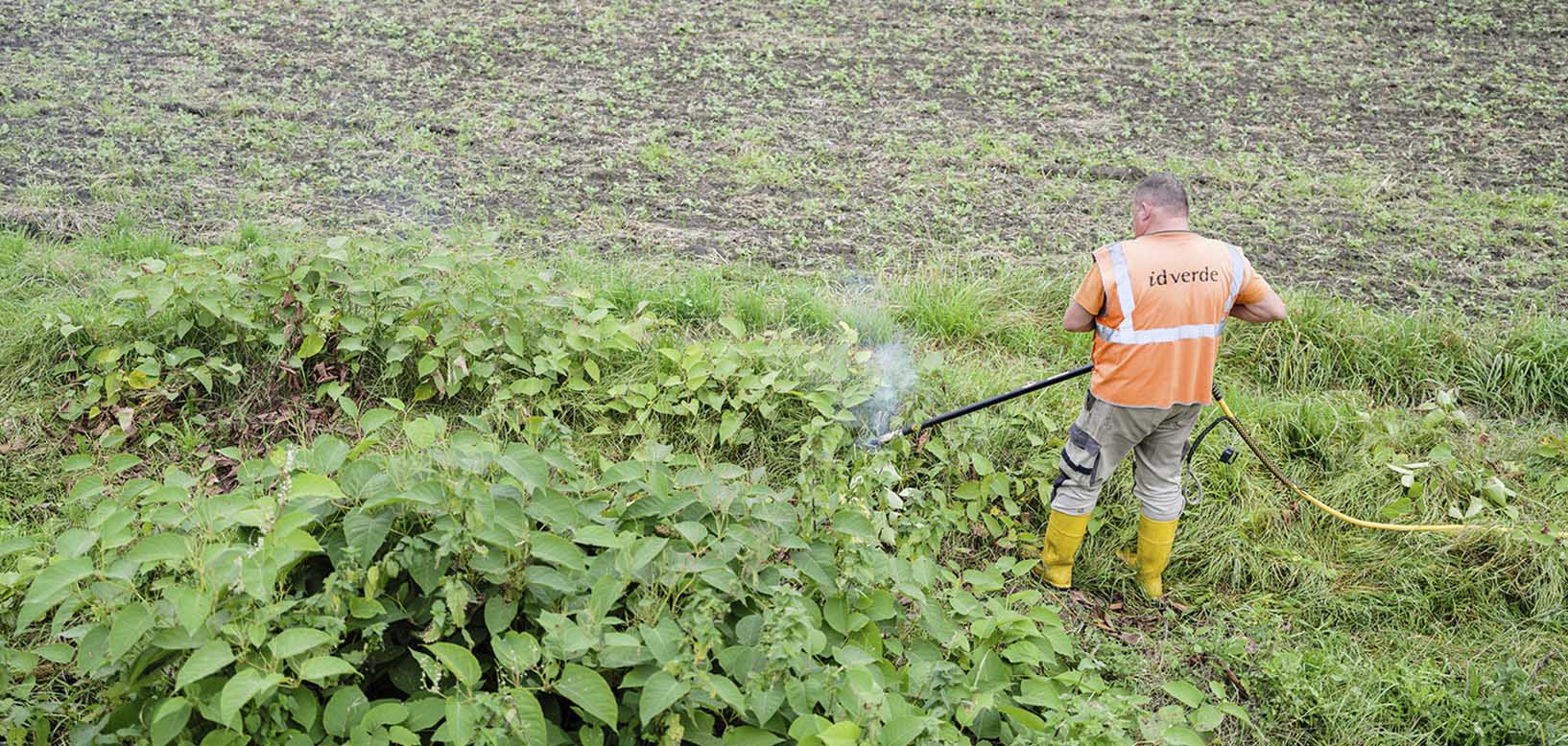 Un agent idverde traite une végétation envahissante en bordure de champ à l'aide d'une lance thermique.