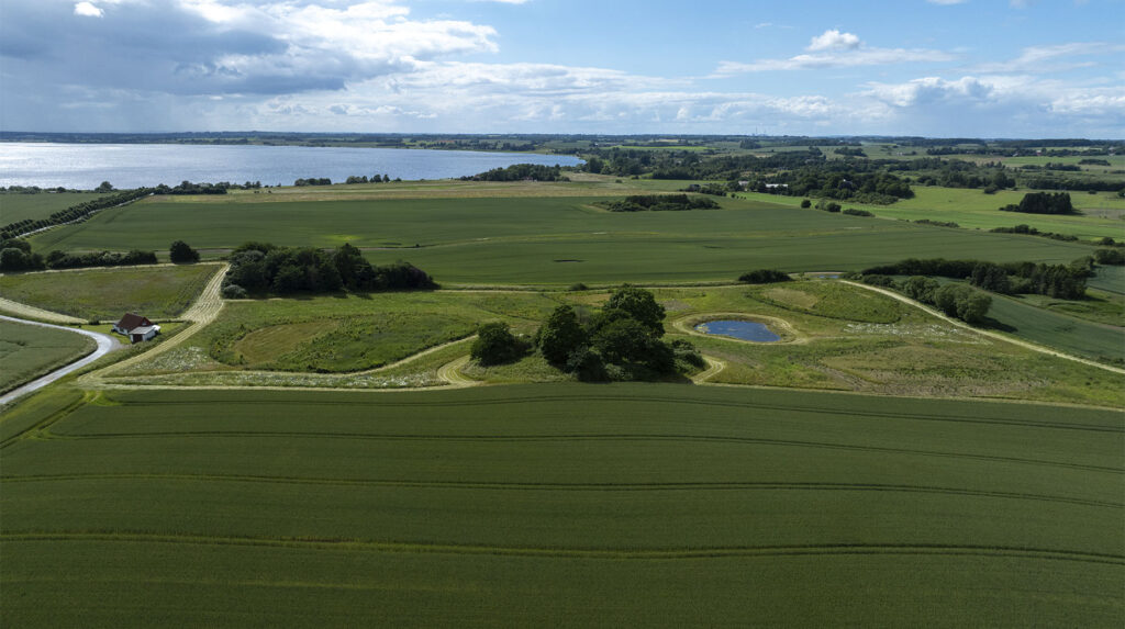 Vue aérienne de champs agricoles verdoyants avec un étang et un fjord en arrière-plan, Danemark