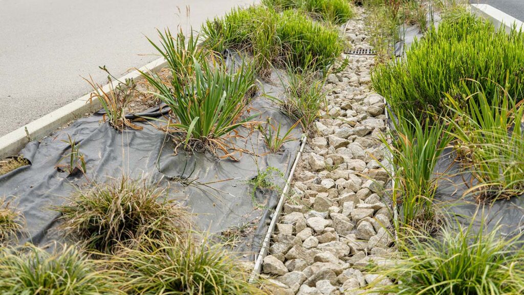 Jardin de pluie avec noue végétalisée, graminées et lit de gravier pour la gestion des eaux pluviales en bord de route