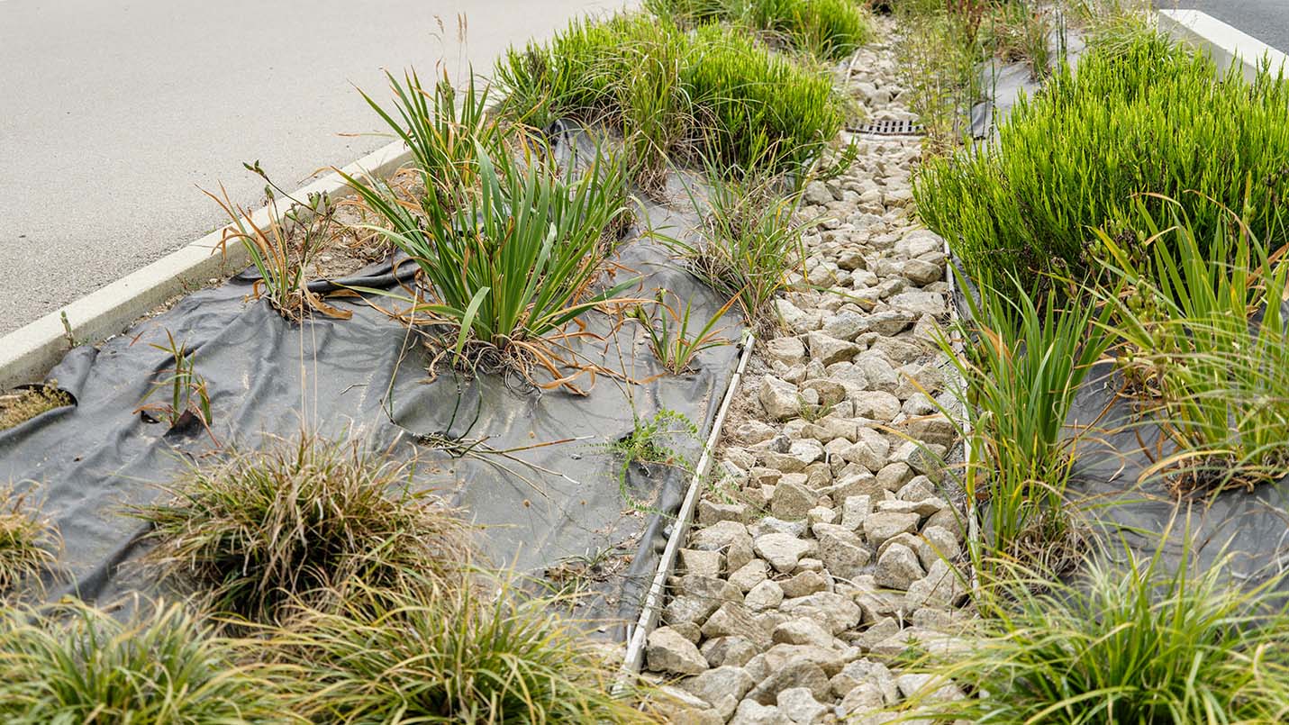 Jardin de pluie avec noue végétalisée, graminées et lit de gravier pour la gestion des eaux pluviales en bord de route