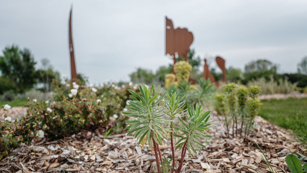 Jardin végétalisé avec sculptures en acier corten et plantes méditerranéennes, centre-ville de Challans