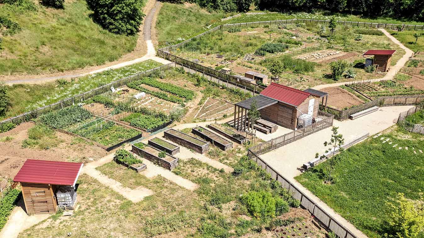 Vue aérienne d'un écovillage avec potagers en carrés, bâtiments en bois et chemins en gravier
